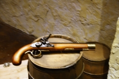 BattleforTexas55