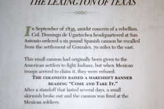 BattleforTexas67